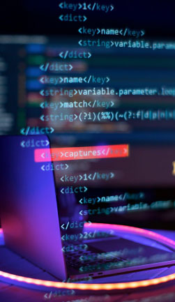 Custom Software Development Singapore