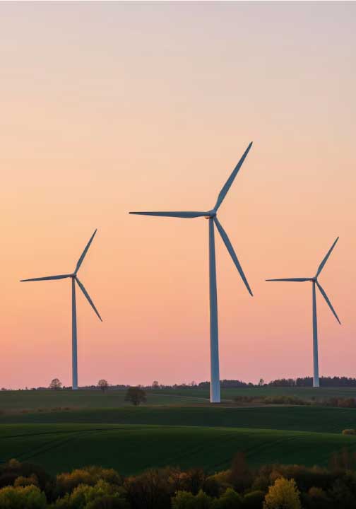 Energy Web Application Development Singapore